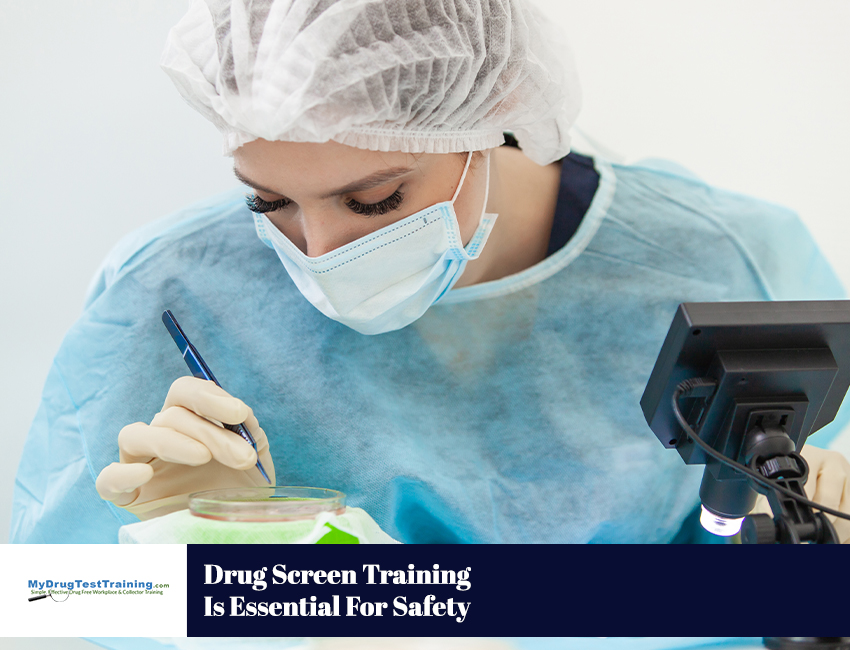 Drug Screen Training Is Essential For Safety