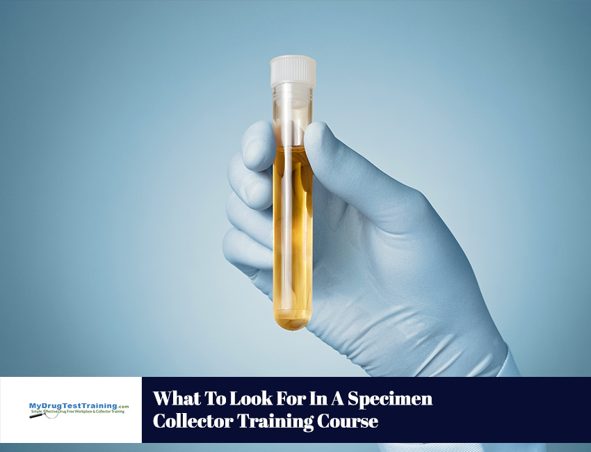 What To Look For In A Specimen Collector Training Course