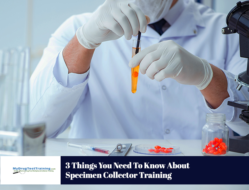 3 Things You Need To Know About Specimen Collector Training